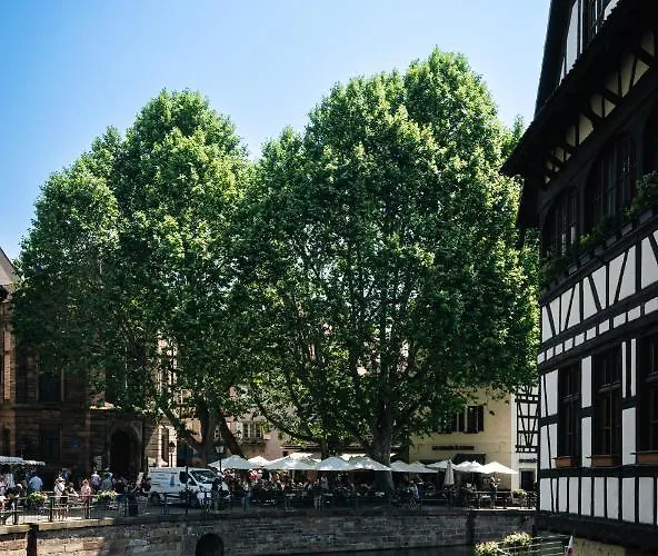 Terrasse Vue Sur Ill - Coeur Petite France Daire
